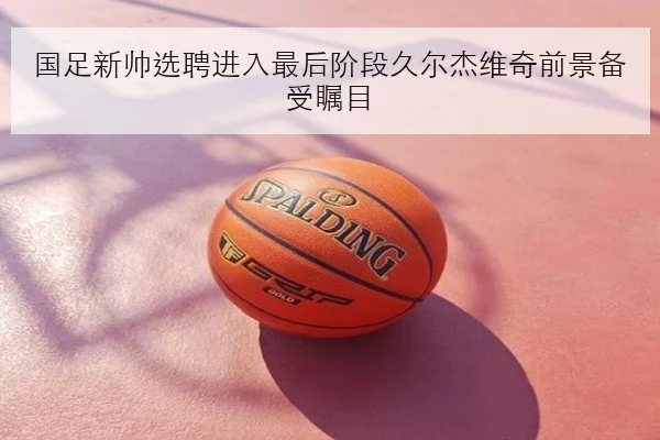国足新帅选聘进入最后阶段久尔杰维奇前景备受瞩目（YABO）